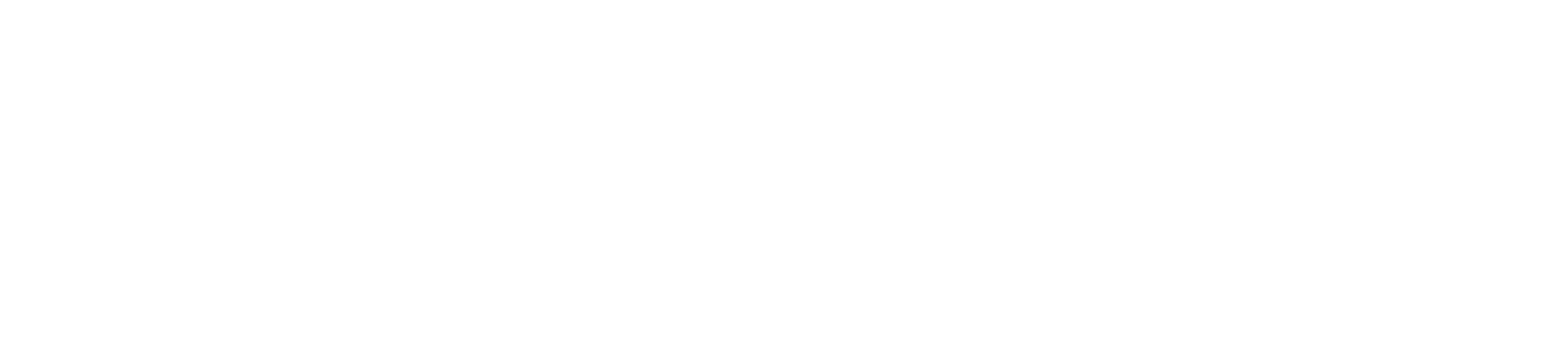Sirius Dream - Navigating Vision